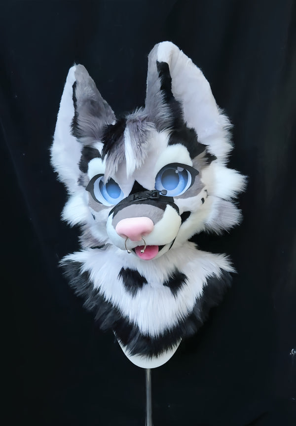 Toony Style Wolf Fursuit - Kohaku